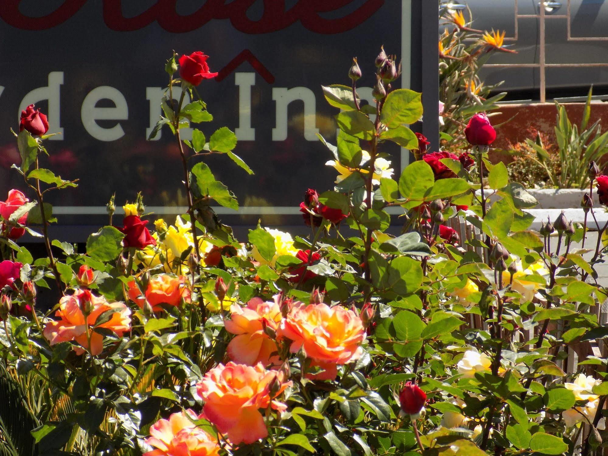 Rose Garden Inn Santa Barbara Ngoại thất bức ảnh