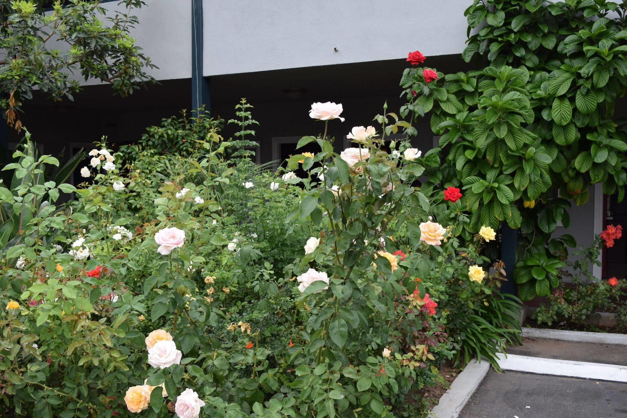 Rose Garden Inn Santa Barbara Ngoại thất bức ảnh
